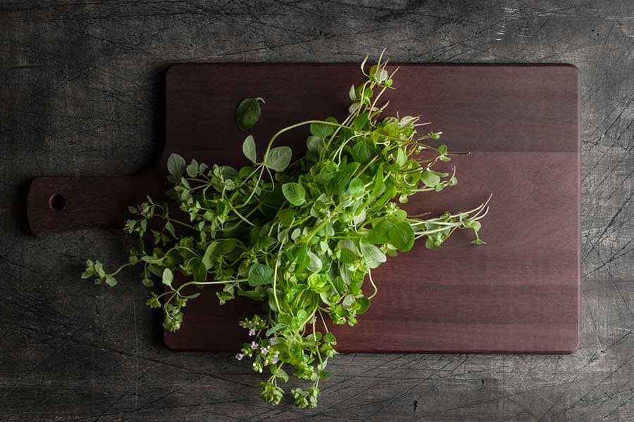 rigan- (1) Риган, oregano.