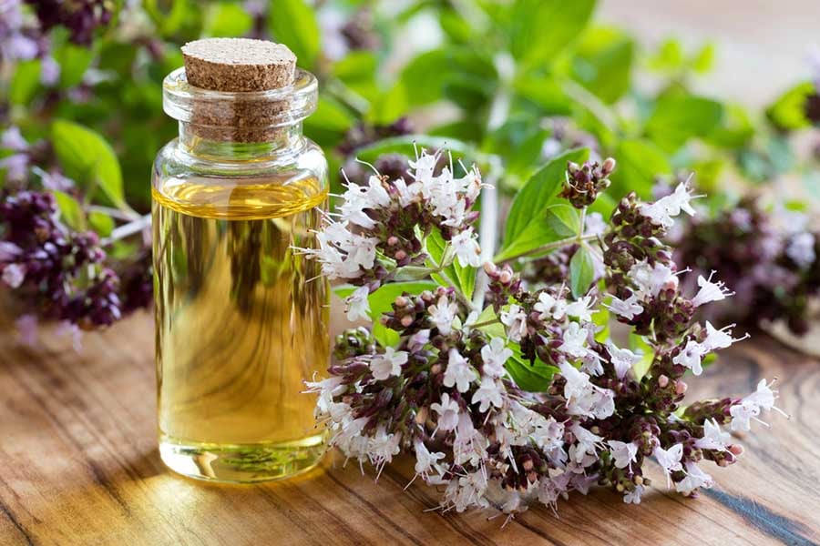 Етерично масло от риган, oregano.