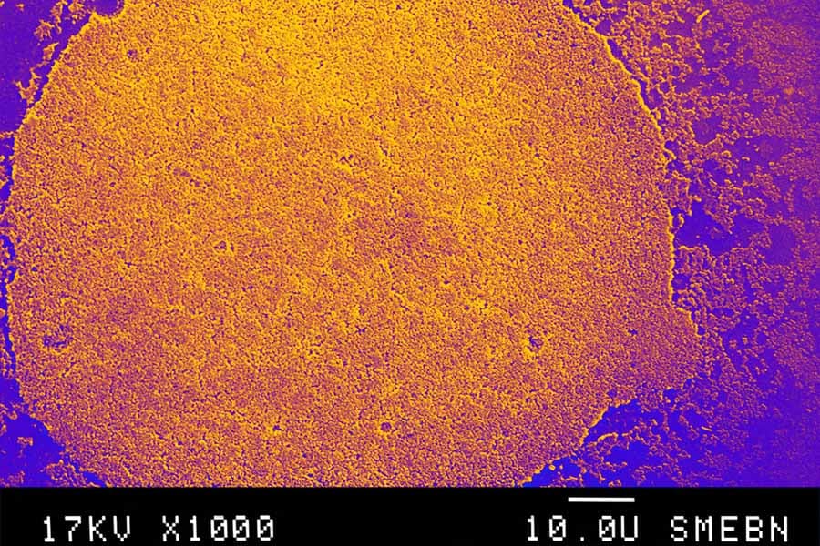 Xotinni katta sik bilan sikish videosi Yalangoch Alizee videosini tomosha qiling