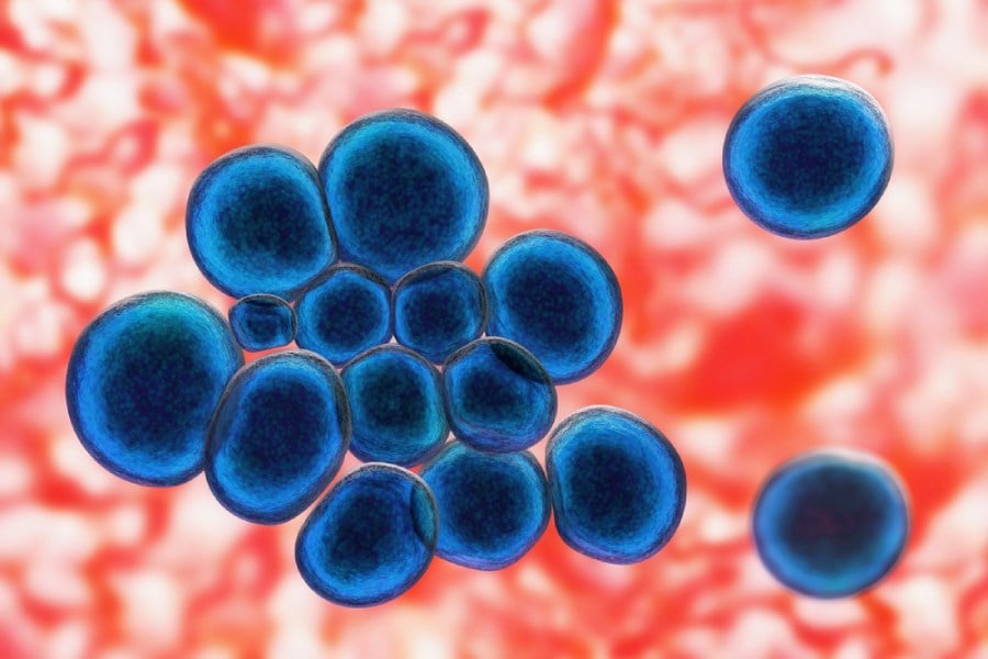 Уреаплазма - бактерия.