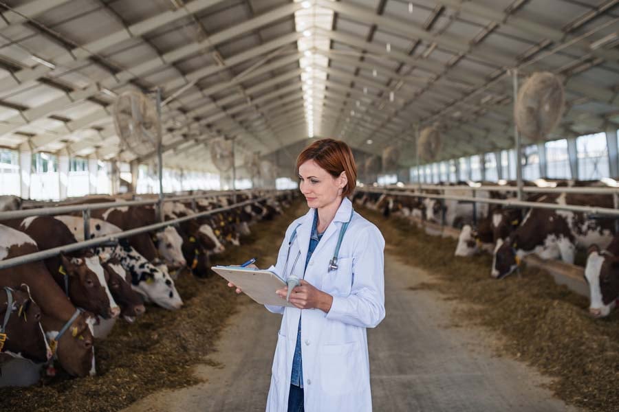 болест Х, зоонозни болести