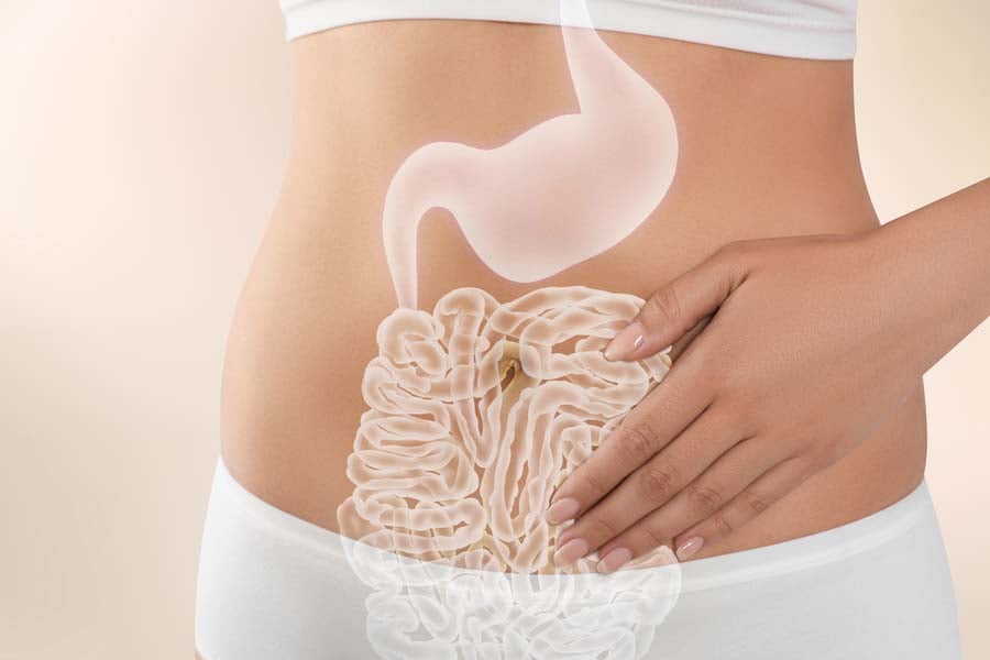 естрагон за храносмилане