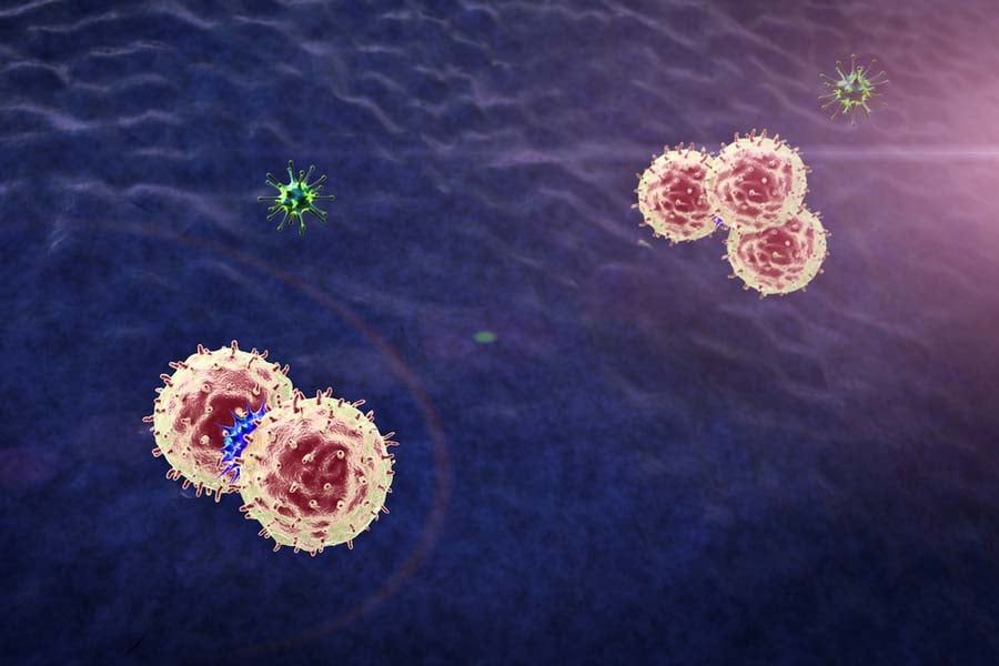 моноцити, макрофаги