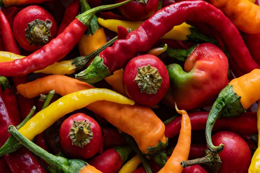 чушки бюрек