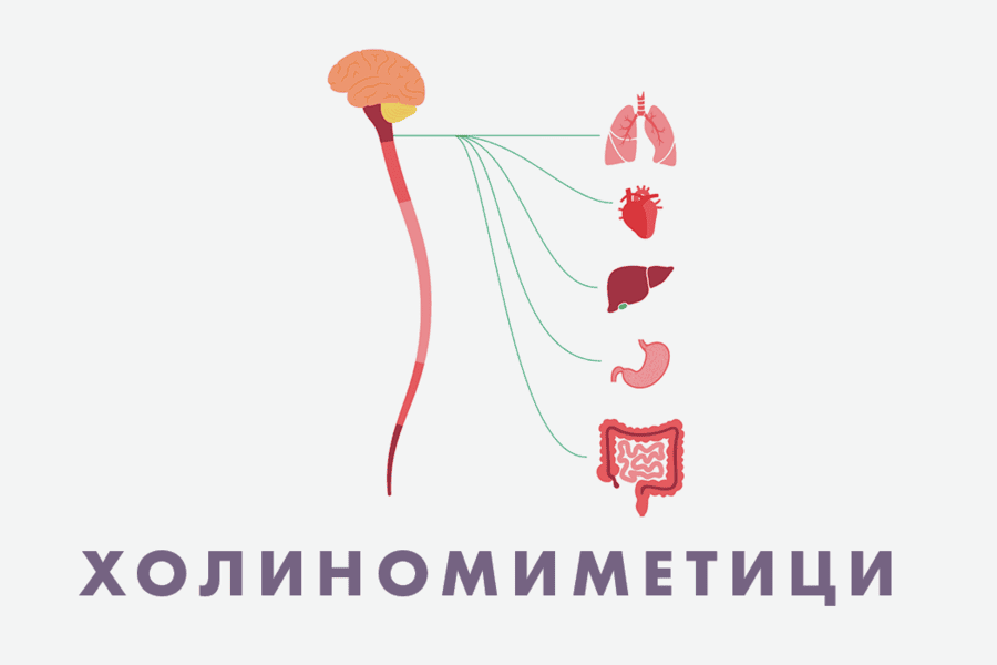 Холиномиметици