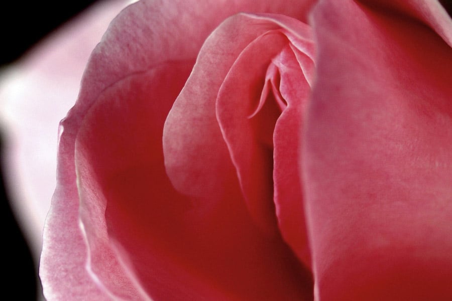 цервикален оргазъм