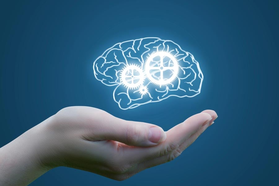 Какво са полифенолите и как действат на тялото? 10 полифеноли за здраве на мозъка