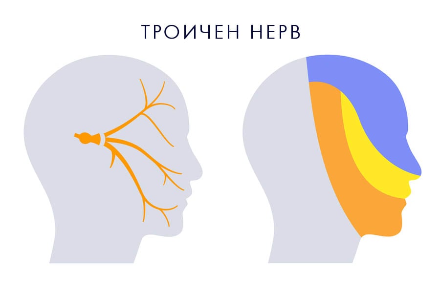 Синдром на Хорнер - какво представлява заболяването? 7 синдром на Хорнер, троичен нерв