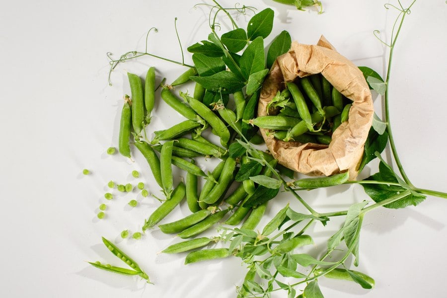 зелен фасул с топено сирене, история