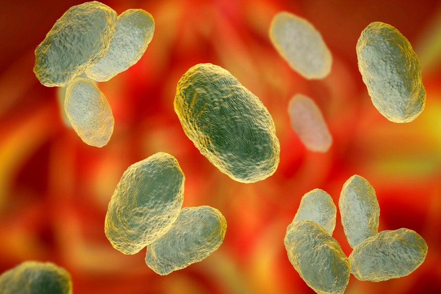 Епиглотит, бактерия