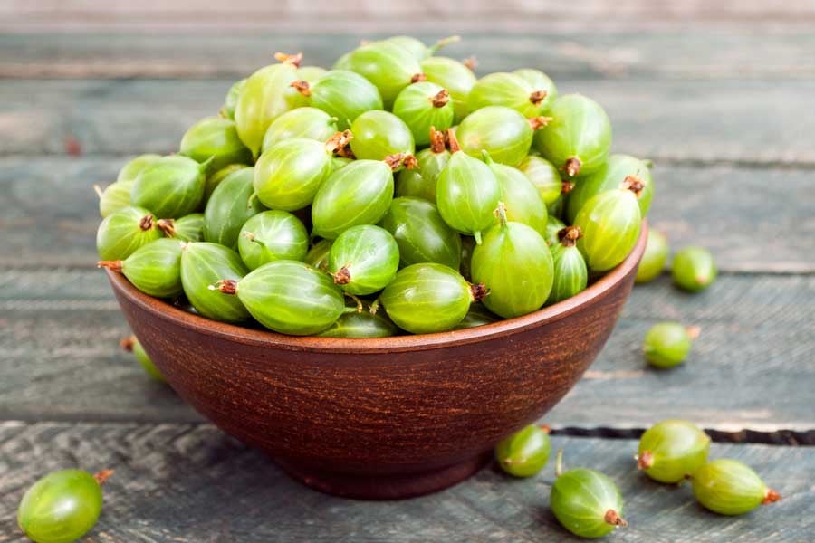 цариградско грозде