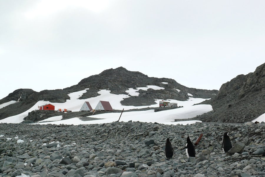 Проф. д-р Николай Цанков, експедиция Антарктида.