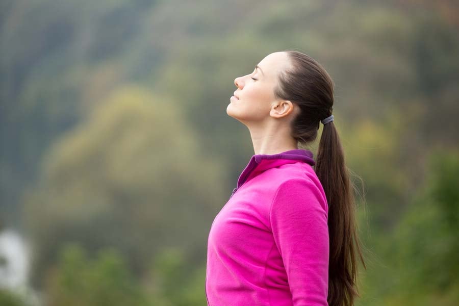 вим хоф дишане