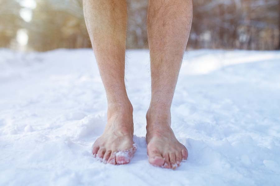 вим хоф студ