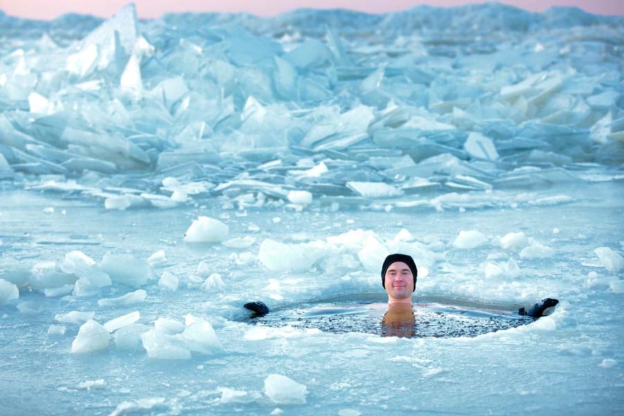 вим хоф студ