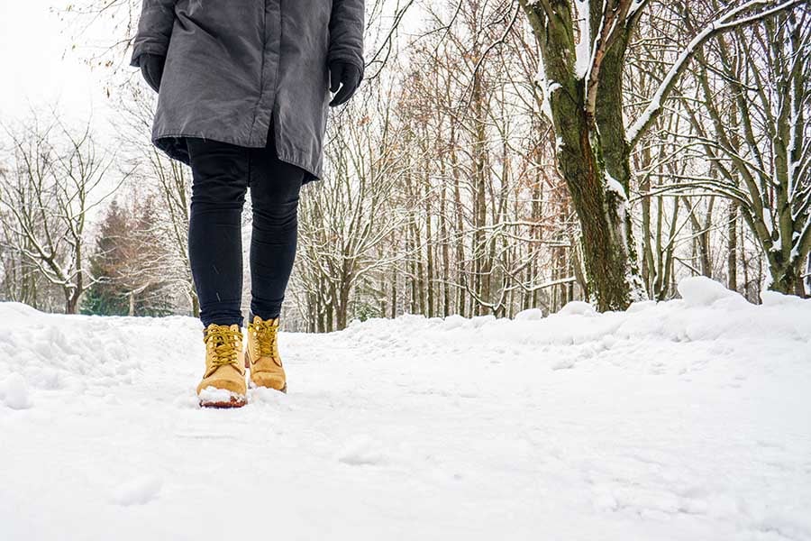 Здравословно хранен през зимата, проф. Дърленска.