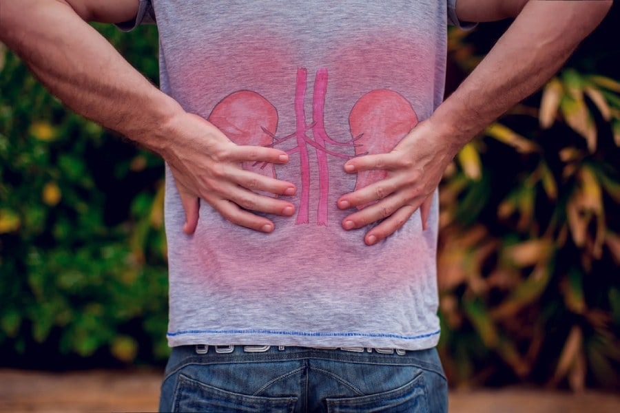 Пурини и камъни в бъбреците.