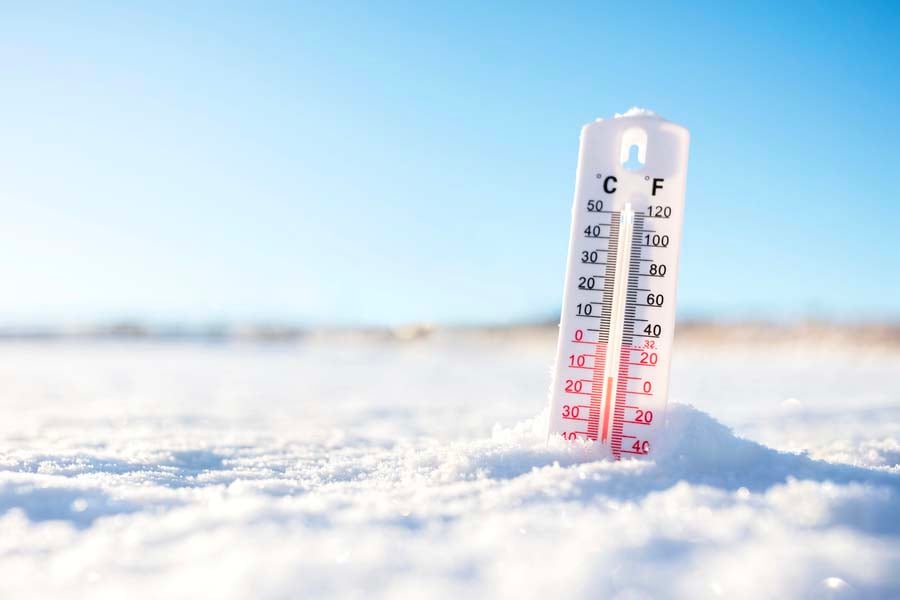 вим хоф студ