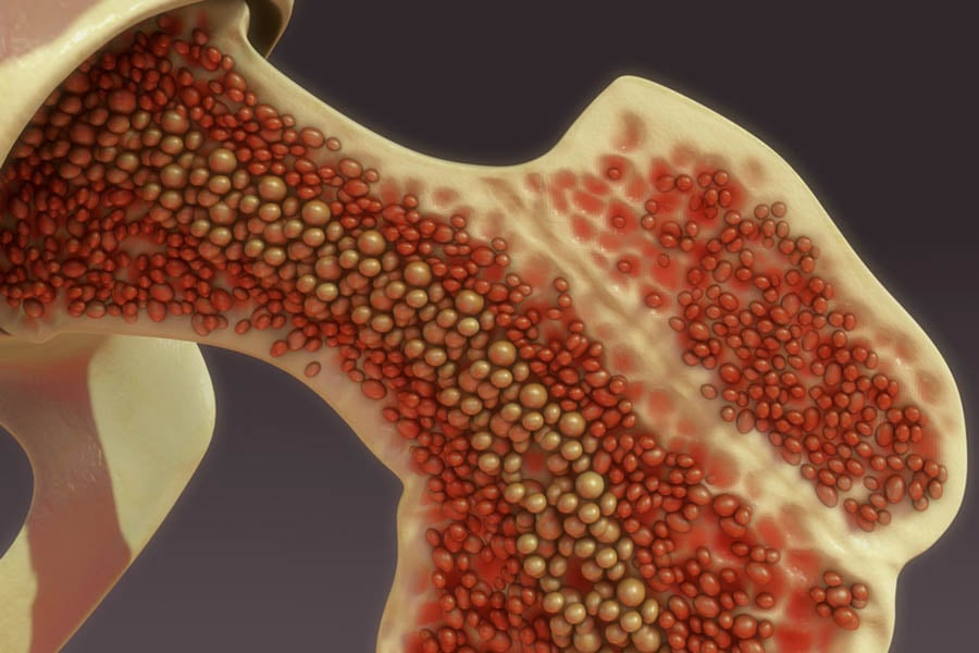 костен мозък, стволови клетки