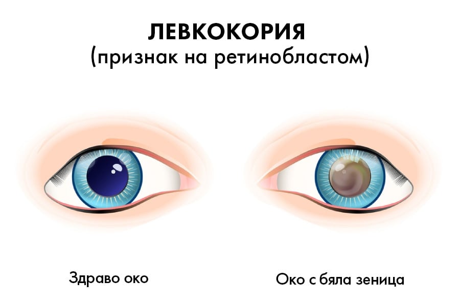 Левкокория