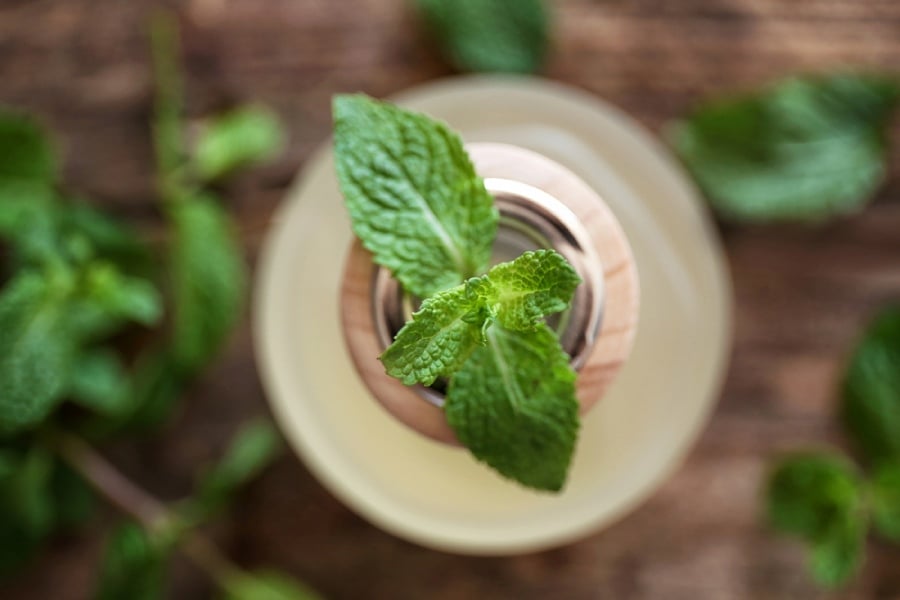 Употреба на масло от мента.