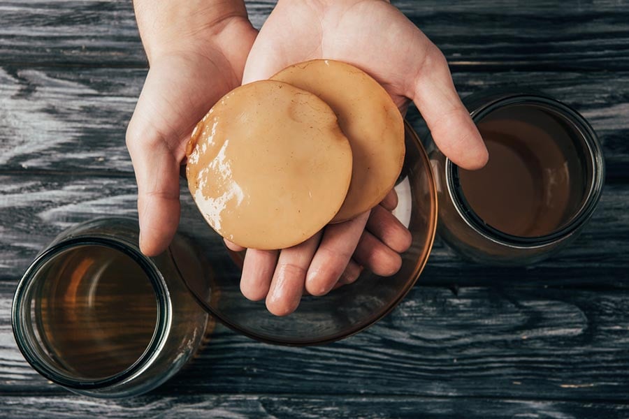 Гъба Комбуча