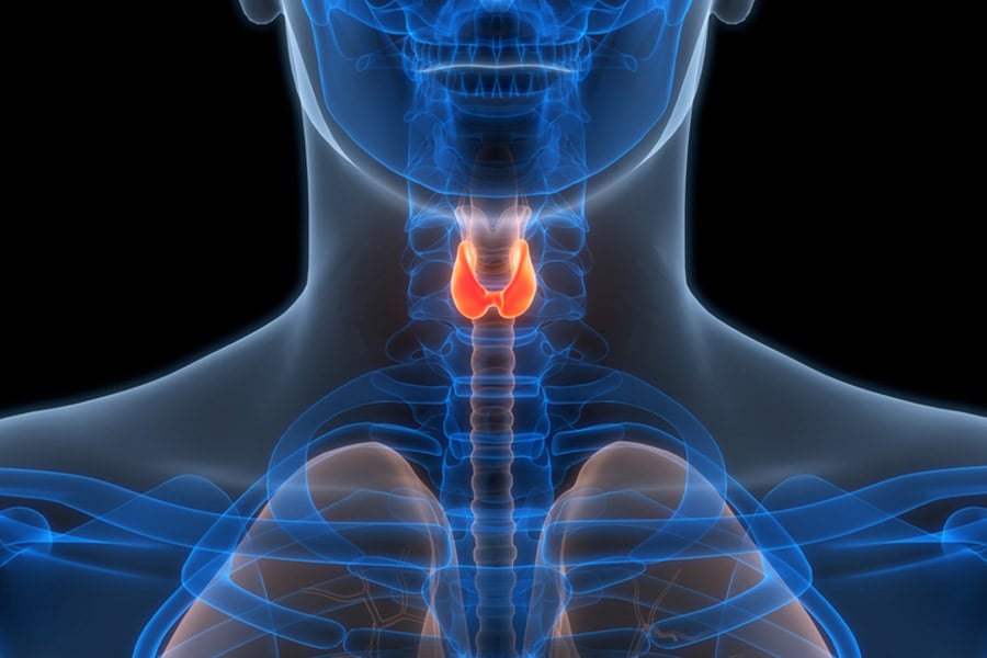 базедова болест, щитовидна жлеза