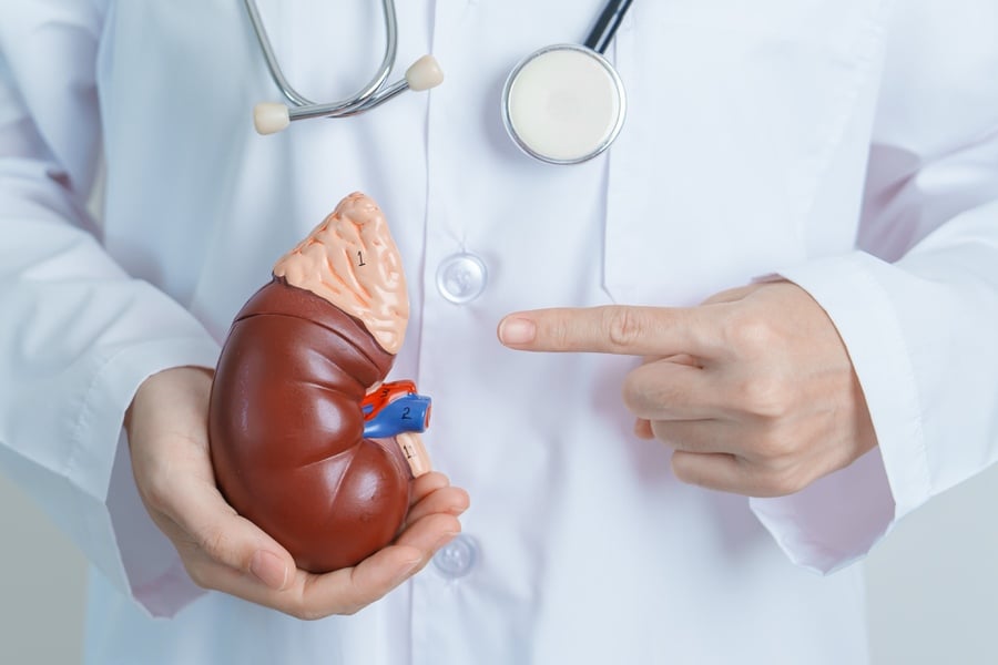 Билки, съдържащи силиций - бъбреци.