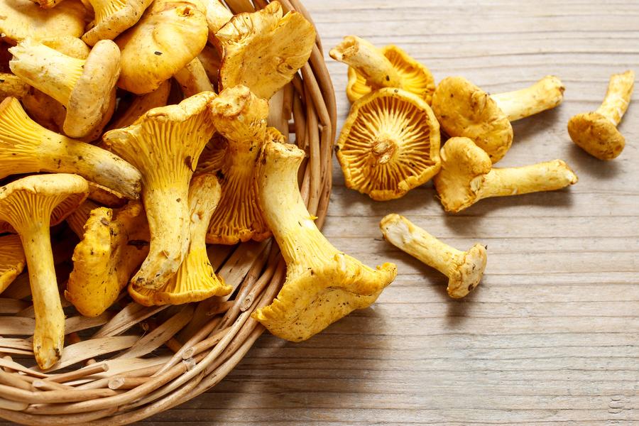 хранителна стойност на пачи крак