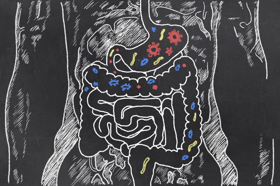 пепсин, ензими