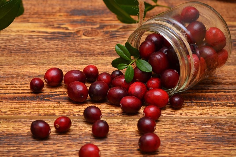 домашен лек при инфекция на пикочните пътища