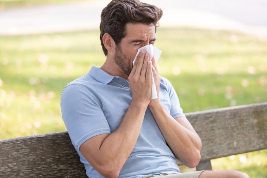 чобанка при сенна хрема