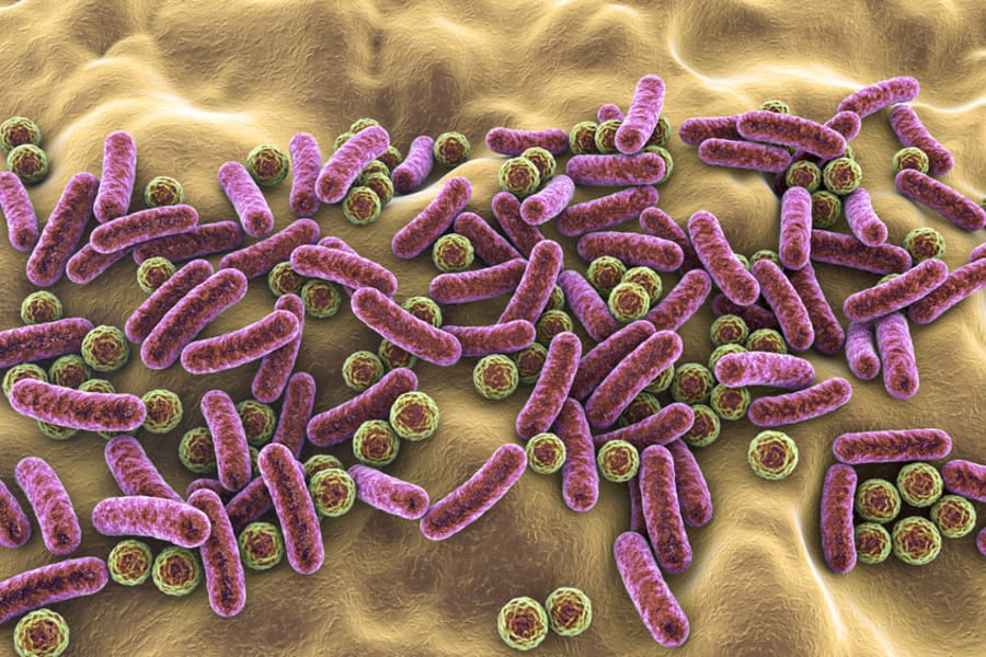 Кожен микробиом - как да го запазим? 12 Кожен микробиом.