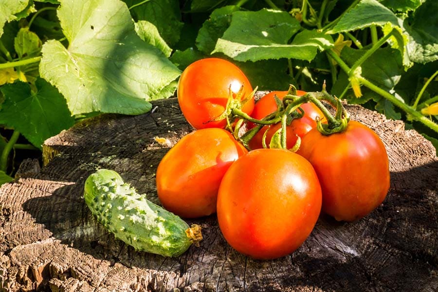 ползи от сезонните зеленчуци