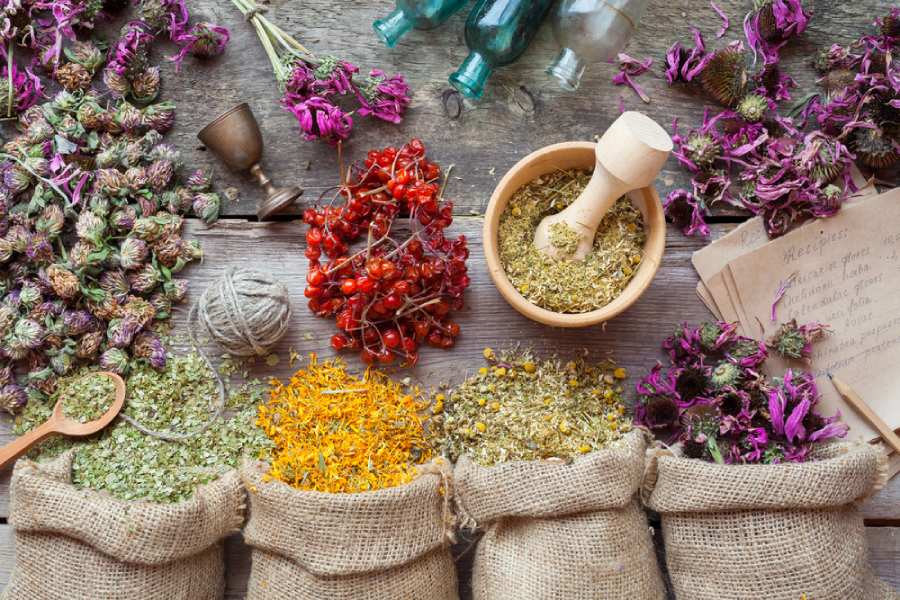 билки за стрес и имунна система