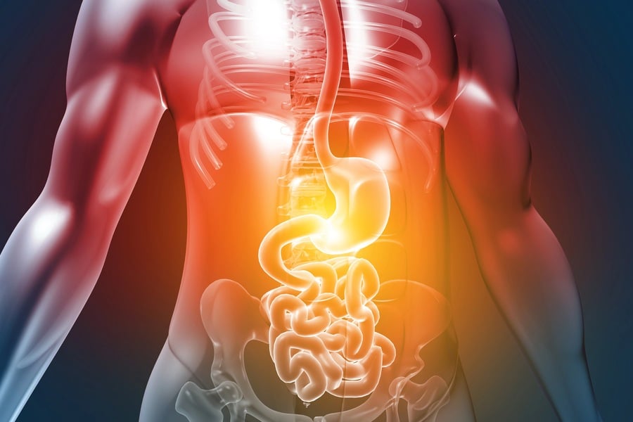 мангостин за добро храносмилане