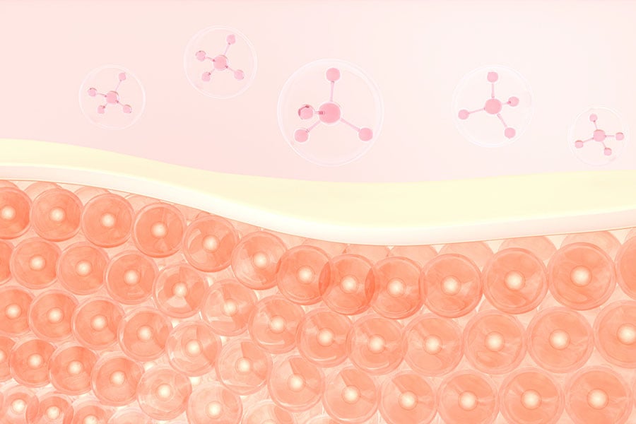 NAD+, молекула кожа.