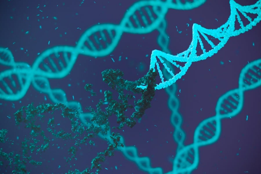 психоневроимунология връзката между стрес и имунна система