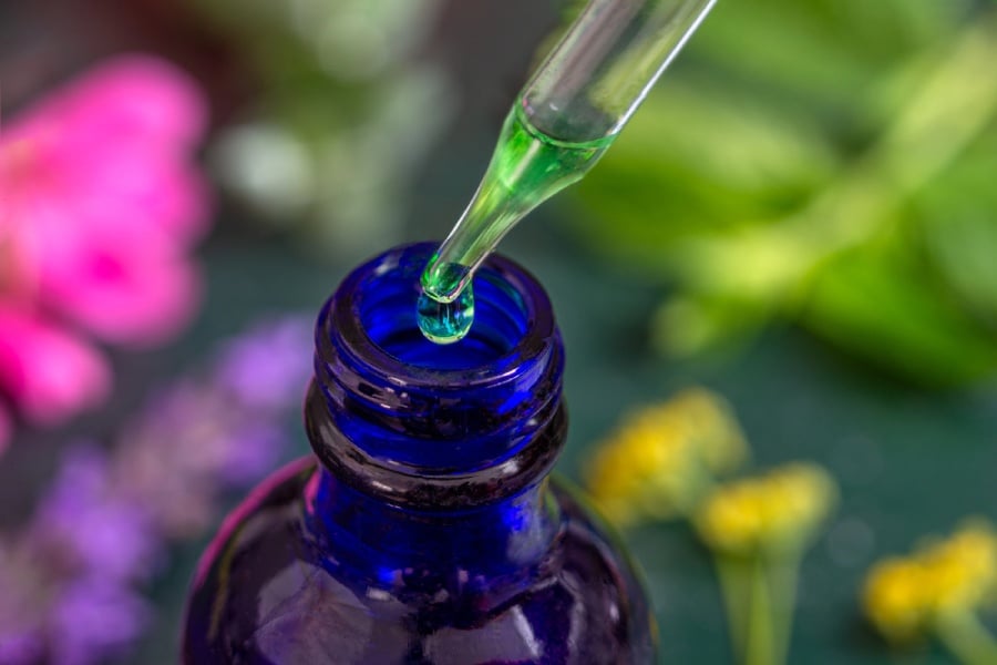 видове фитотерапия