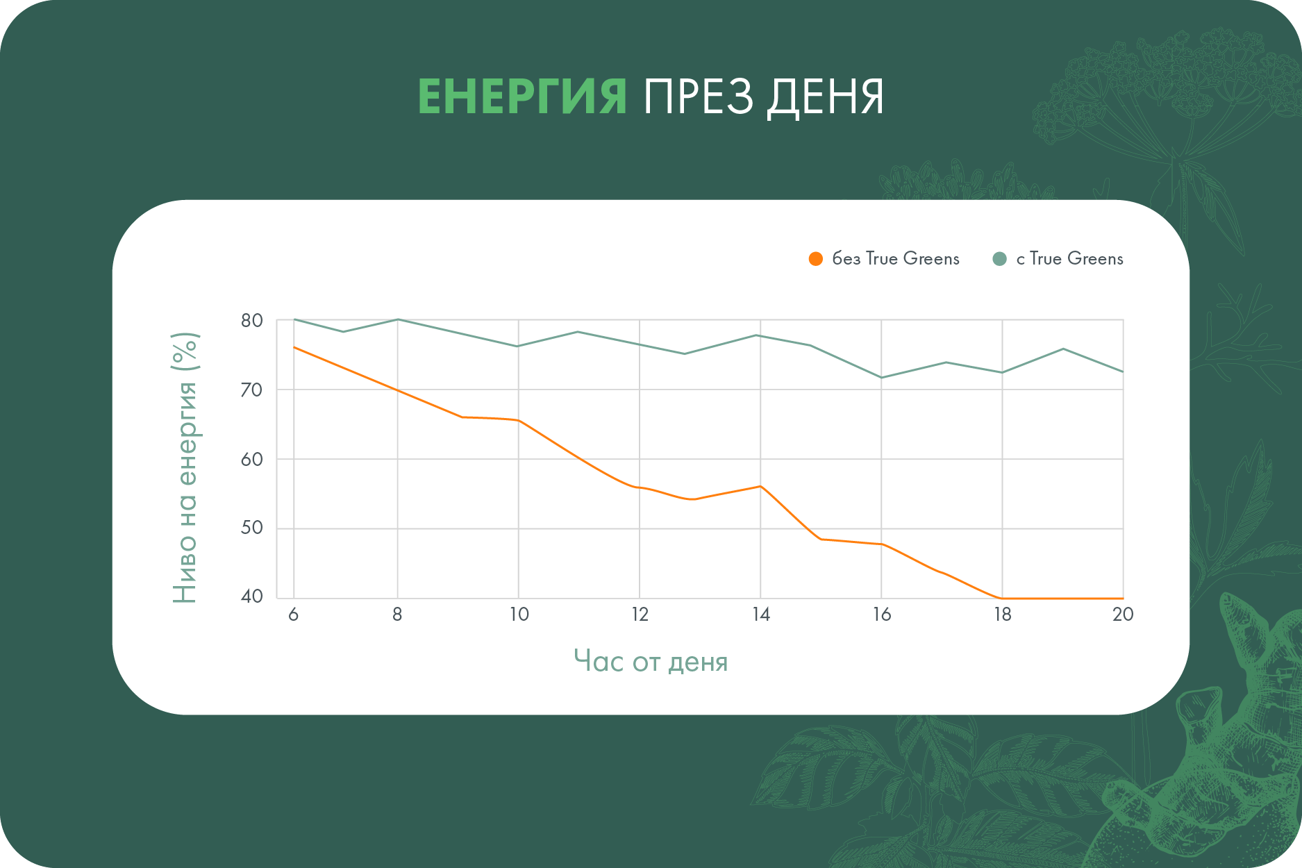 Зелен комплекс True Greens - за клетъчен имунитет и пречистване 5 Зелен детокс True Greens Forlife.