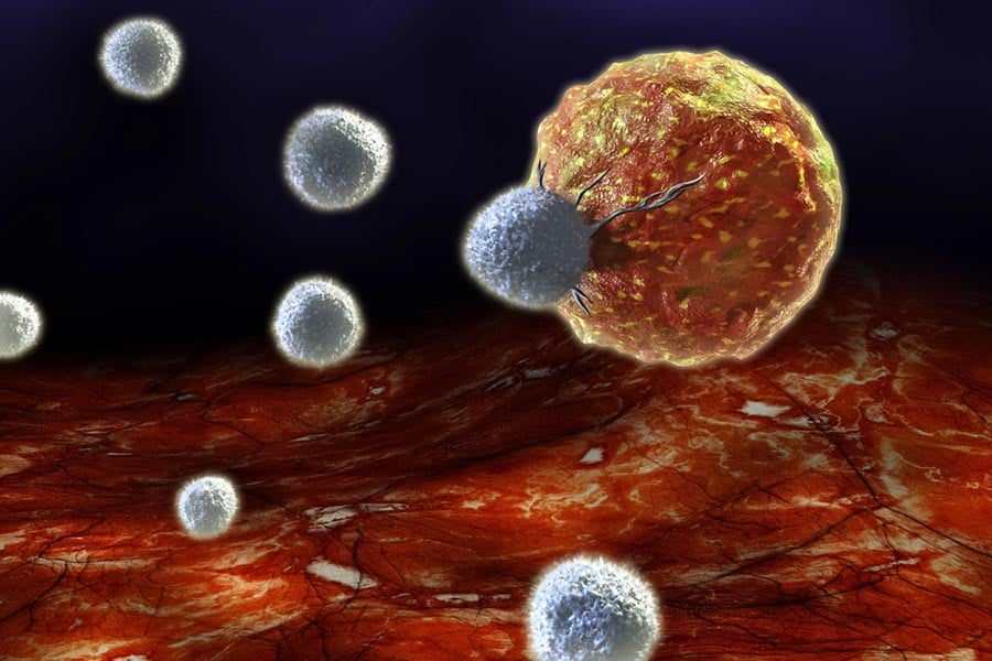 aNK клетки, ракови клетки