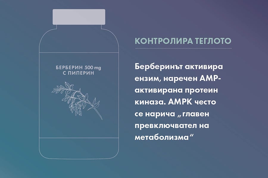 Берберин хидрохлорид Forlife.