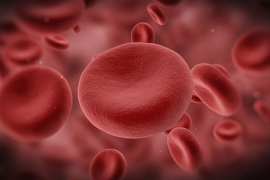 Еритроцити.