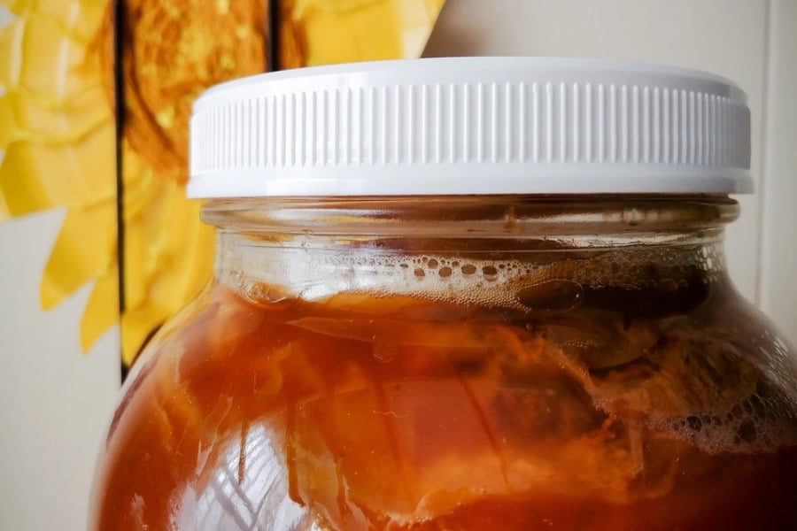 дива ферментация, зимнина