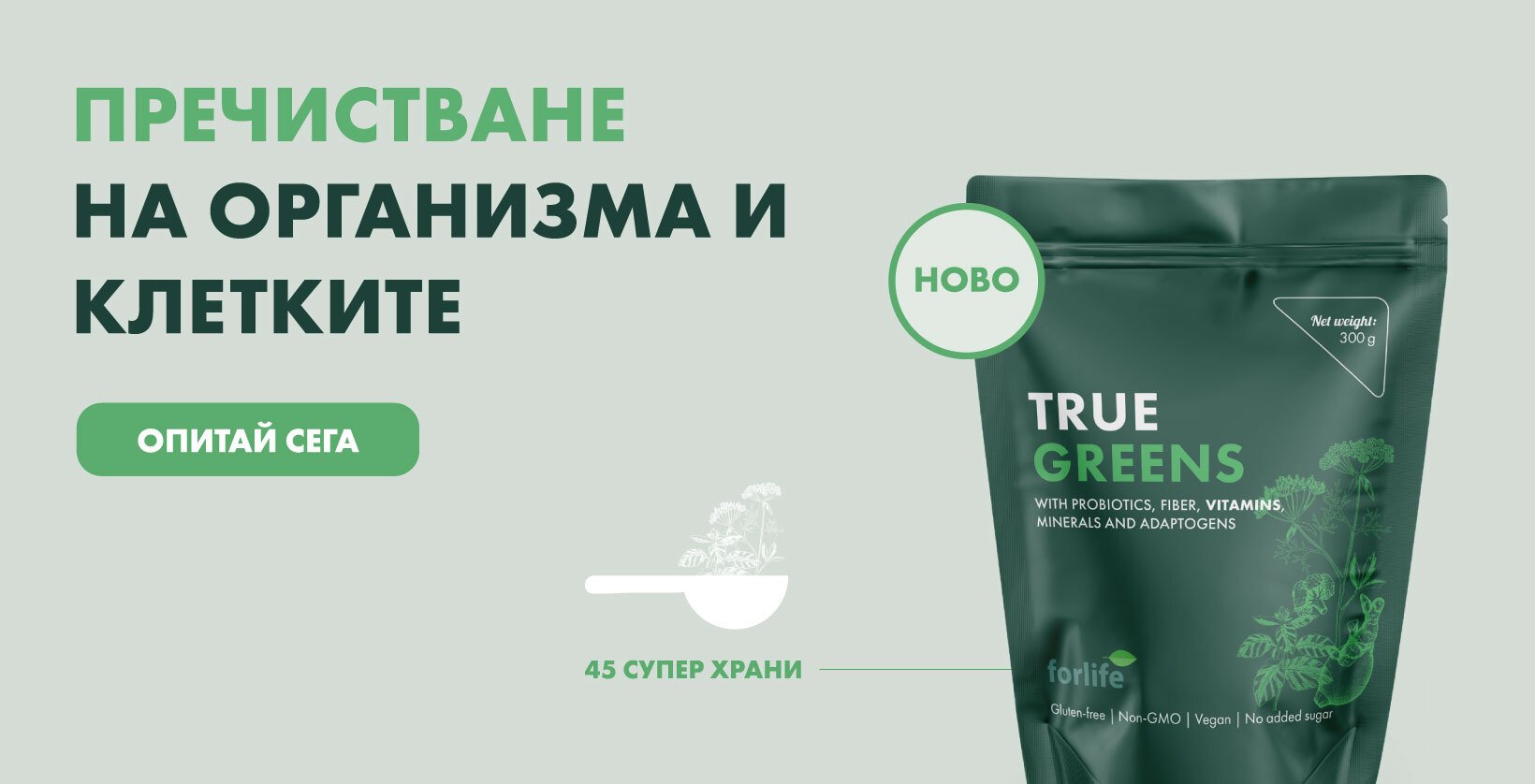truegreens banner 1640h838px 1