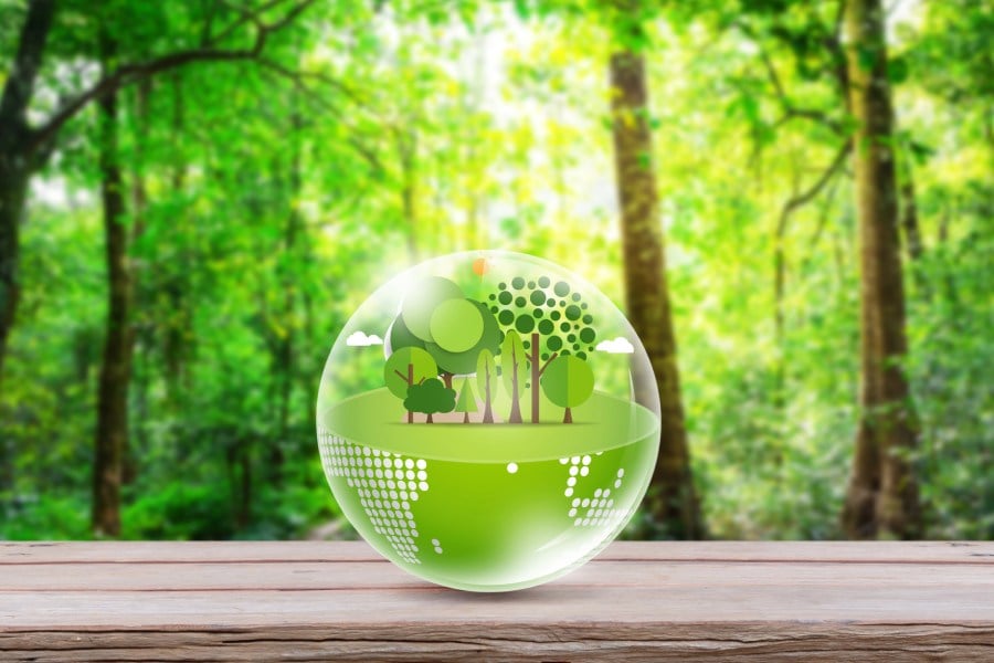 веган диетата е еко