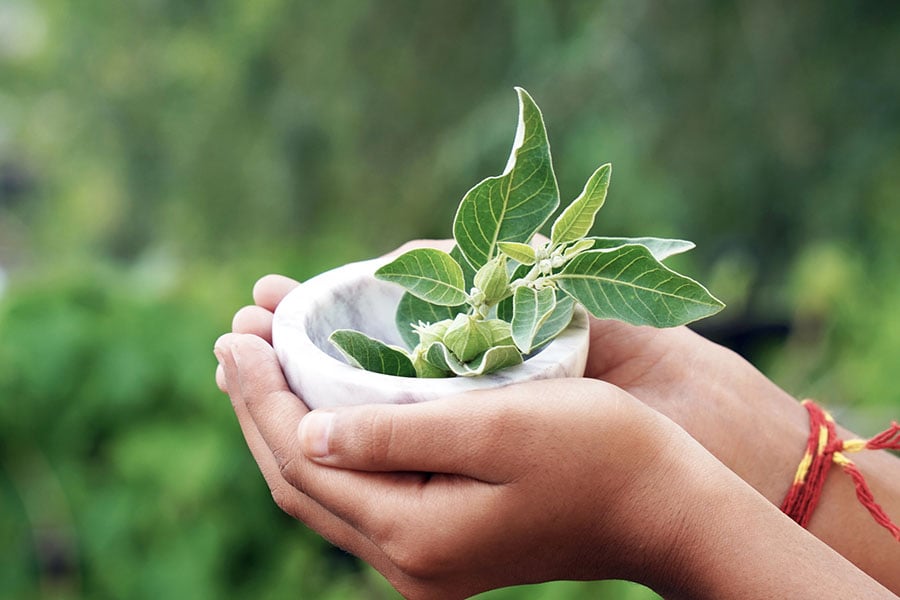 Хранене срещу стрес, ашваганда.