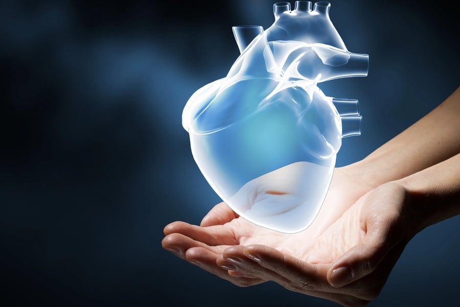 Хранителни добавки за прочистване на кръвоносните съдове 11 Сърце - грижата за съдовете е дългосрочен подход към здравето