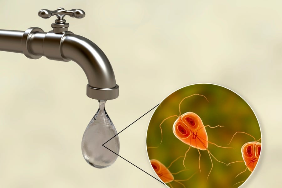 как се предава гиардия