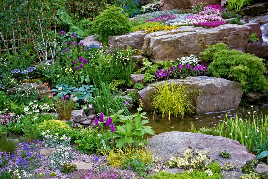 Как да направим алпинеум в двора – идеи, растения и камъни 5 Какво е алпинеум